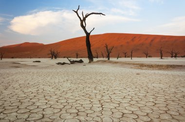 Ölü ağaçlar ve Sossusvlei kırmızı kum tepelerine