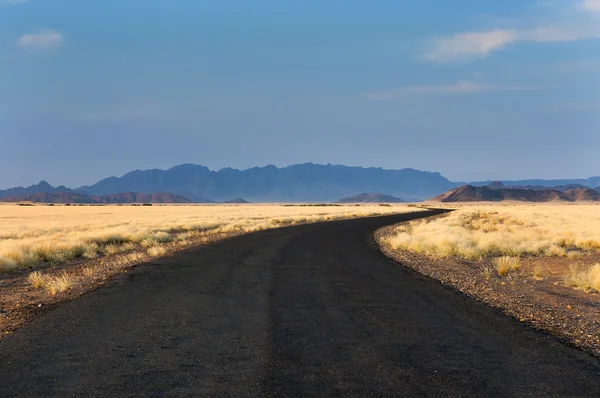 ソーサス フライ、ナミビアの道路 — ストック写真