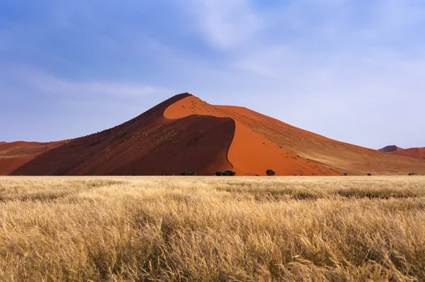 Vista de las dunas rojas en Sossusvlei, Namibia — Foto de Stock