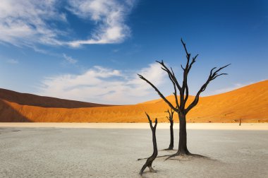 Ölü ağaçlar ve kırmızı dunes içinde ölü Vlei, Sossusvlei, Namibya