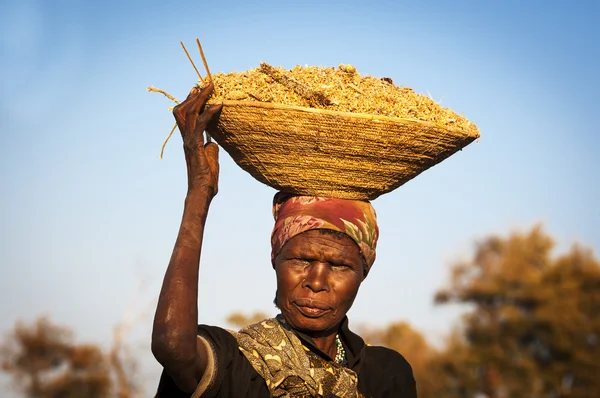 Mujer africana balanceando una canasta con cereales en la cabeza en la Franja de Caprivi, Namibia, África —  Fotos de Stock