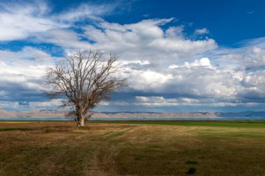 Utah ve Idaho Eyaletleri sınırındaki Bear Gölü manzarası, ABD.