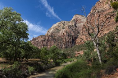 ABD 'nin Utah eyaletindeki Zion Ulusal Parkı' ndaki bakir nehir ve kanyonun güzel manzarası.