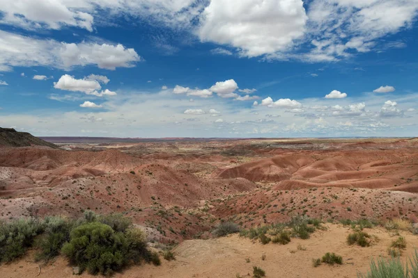 Widok Malowniczej Pustyni Parku Narodowym Petrified Desert Stan Arizona Usa — Zdjęcie stockowe