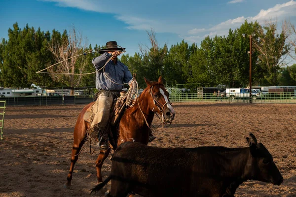 Fallon Nevada August 2014 Cowboy Horseback Roping Calf Rodeo Churchill — Stock Photo, Image