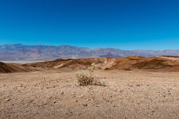 Uma Paisagem Estéril Vale Morte Califórnia Eua — Fotografia de Stock