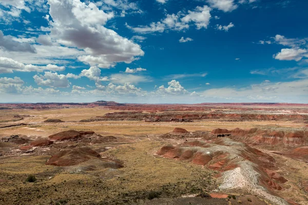 Widok Malowniczej Pustyni Parku Narodowym Petrified Desert Stan Arizona Usa — Zdjęcie stockowe