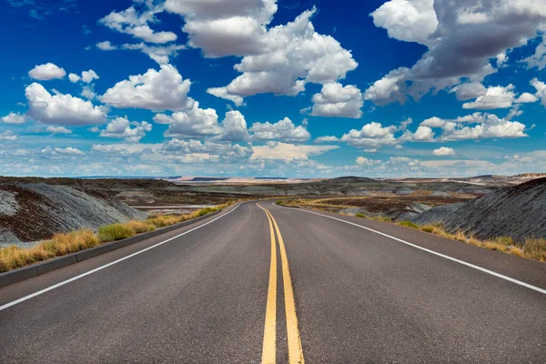 Vista Panorâmica Uma Estrada Parque Nacional Deserto Petrificado Estado Arizona — Fotografia de Stock