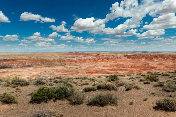 Живописный Вид Пустыню Пэйнт Национальном Парке Окаменелых Пустынь Штат Аризона — стоковое фото