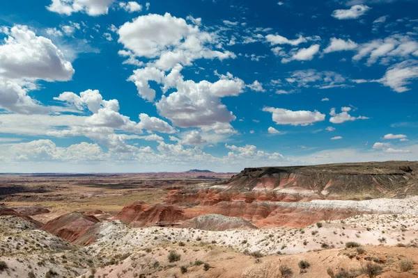 美国亚利桑那州焦化沙漠国家公园中的喷漆沙漠景观 — 图库照片