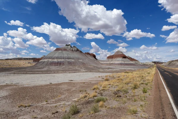 美国亚利桑那州被石化的沙漠国家公园中被称为 Teepes 的地层景观 美国旅行和公路旅行的概念 — 图库照片