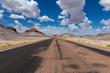 ABD 'nin Arizona eyaletindeki Petrified Desert Ulusal Parkı' ndaki bir yolun manzarası; Amerika 'da seyahat ve yol gezisi kavramı