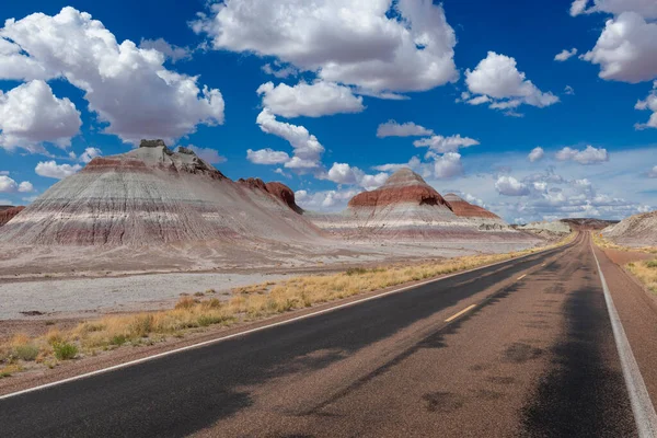 アリゾナ州のペトリファイド砂漠国立公園内の道路の風景ビュー アメリカでの旅行や道路旅行のための概念 — ストック写真