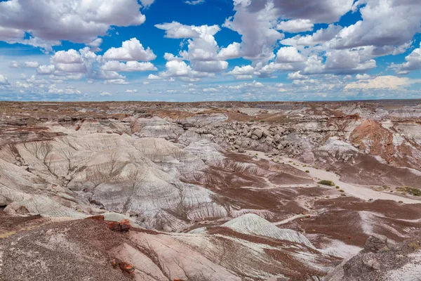 Widok Formacje Petrified Desert National Park Stan Arizona Usa — Zdjęcie stockowe