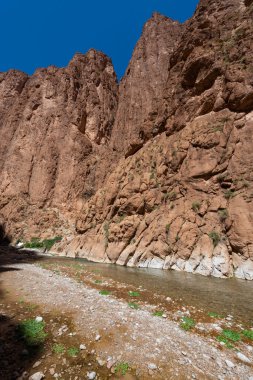 Todgha Gorge, Fas - 13 Nisan 2016: Fas 'ın Yüksek Atlas Dağları Bölgesindeki Todgha Gorge manzarası.