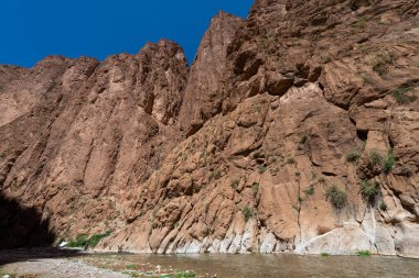 Todgha Gorge, Fas - 13 Nisan 2016: Fas 'ın Yüksek Atlas Dağları Bölgesindeki Todgha Gorge manzarası.
