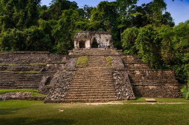 Maya antik şehri Palenque, Chiapas, Meksika 'daki bir piramidin manzarası..
