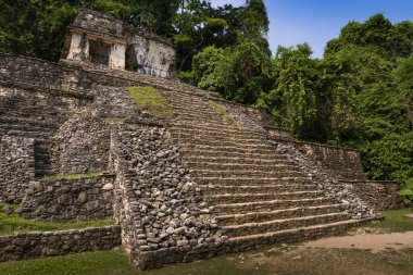 Maya antik şehri Palenque, Chiapas, Meksika 'daki bir piramidin manzarası..