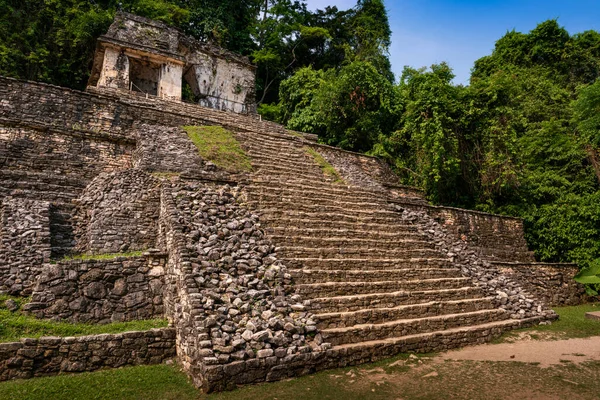 Γραφική Άποψη Πυραμίδας Στην Αρχαία Πόλη Palenque Των Μάγια Τσιάπας — Φωτογραφία Αρχείου