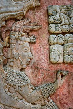 Antik Maya şehri Palenque, Chiapas, Meksika 'daki bir levrek oymasının ayrıntıları