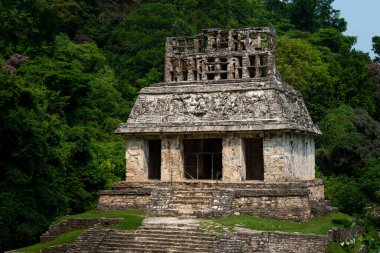 Maya antik şehri Palenque, Chiapas, Meksika 'daki bir piramidin manzarası..