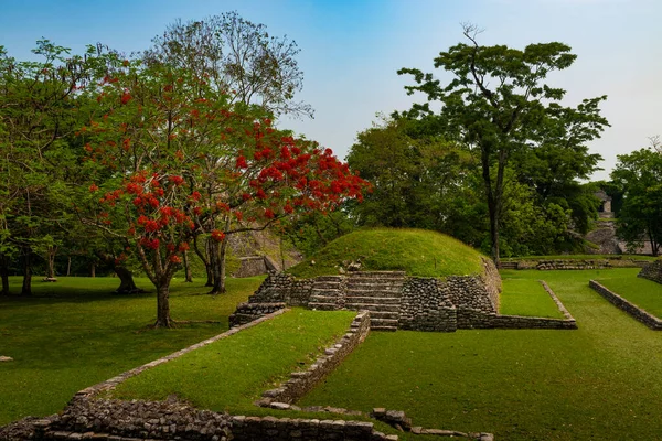 Сценічний Вид Стародавнє Місто Майя Паленке Чіапас Мексика — стокове фото