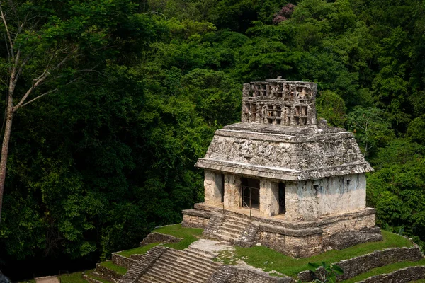 Scenisk Över Pyramid Vid Maya Antika Staden Palenque Chiapas Mexiko — Stockfoto