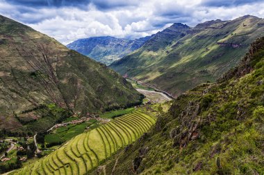 Teraslar halinde kutsal vadiyi Pisac, Peru