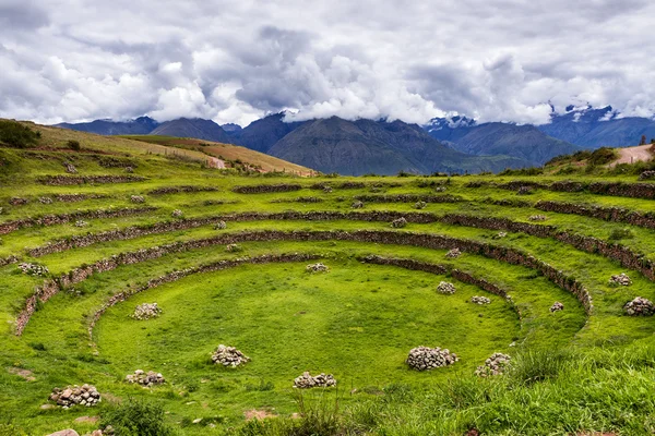 Inca melingkar teras di Moray, di Sacred Valley, Peru . — Stok Foto
