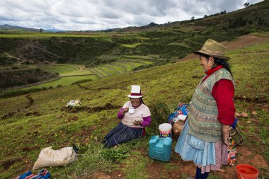 Yakın iki Perulu kadın çiftçiler: Maraş, Peru