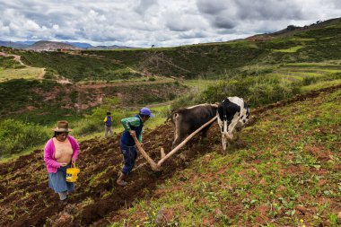 Perulu aile Maraş, kutsal vadi, Peru yakınındaki arazi çiftçilik