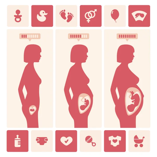 Stages of pregnancy and icons set — Stock Vector