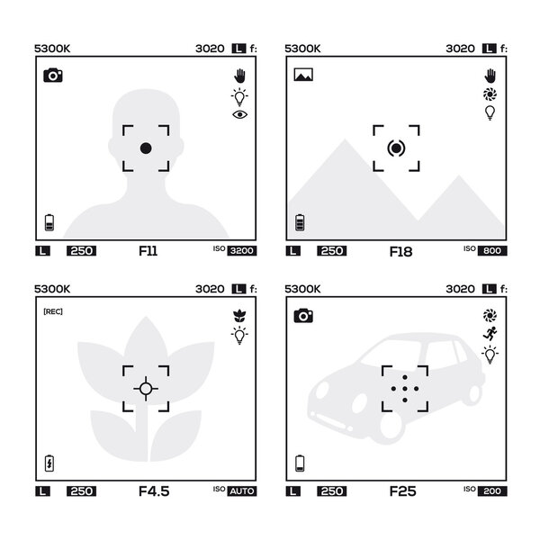 4 different cameras viewfinder display