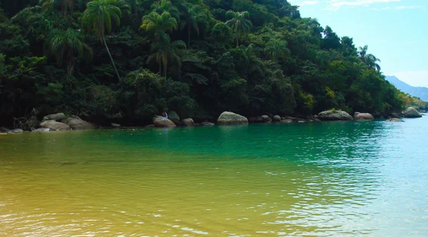 Île verte et mer verte — Photo