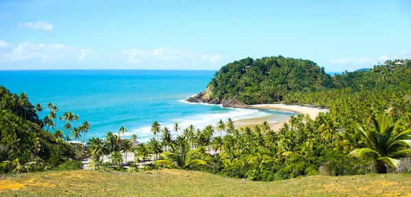 Bir dağın plajına bakarak