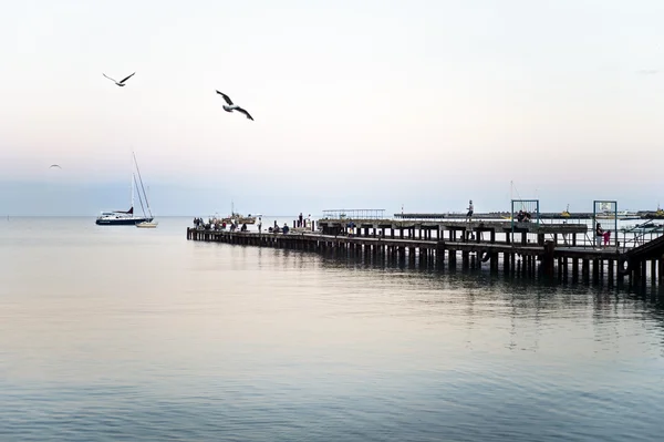 Martılarla gün batımında deniz iskelesi — Stok fotoğraf