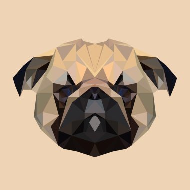 Pug köpek yavrusu 