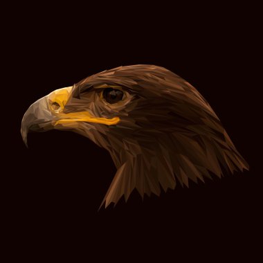 Kartal hayvan düşük Poli Dizayn.