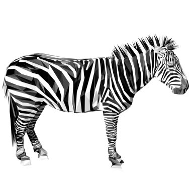 Zebra hayvan düşük Poli Dizayn.