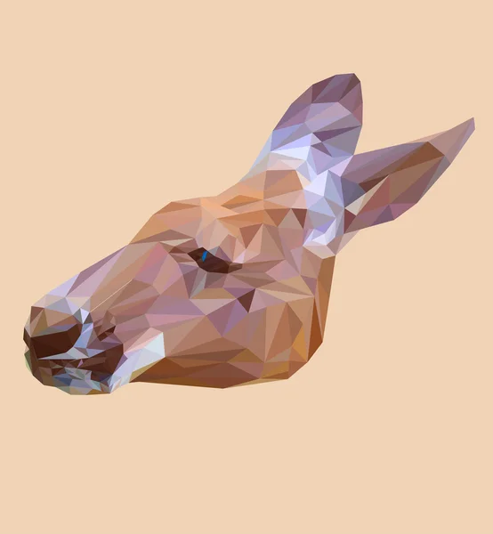 Kangourou low poly design . — Image vectorielle