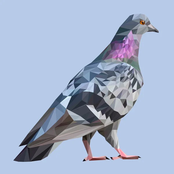 Zvíře pták Holub — Stockový vektor