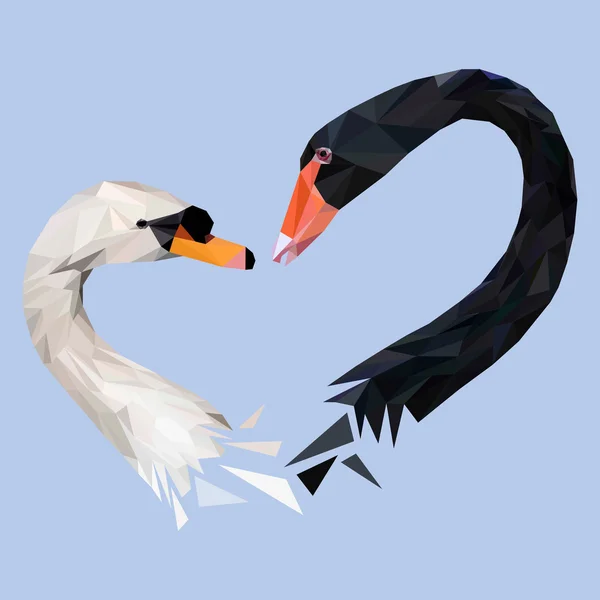 Bílá a Černá labuť ptáci zvířata — Stockový vektor