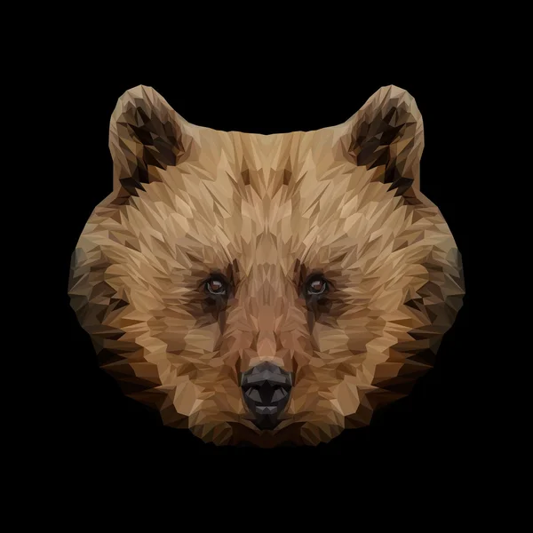 Urso animal design poli baixo —  Vetores de Stock