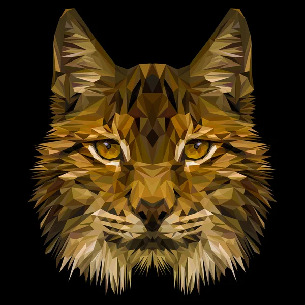 Lynx kat dier — Stockvector