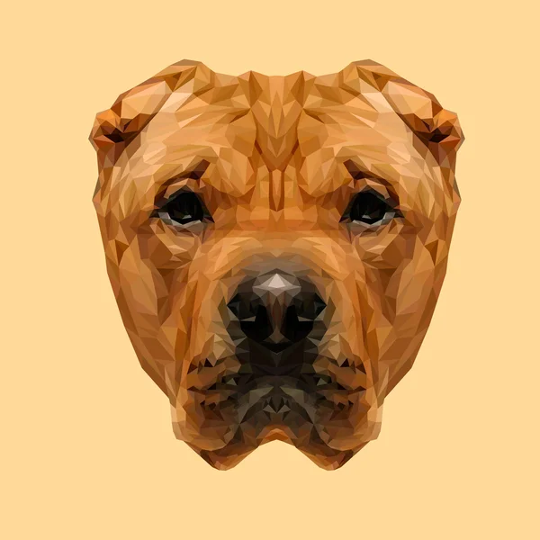 Chien chinois Shar-Pei animal — Image vectorielle