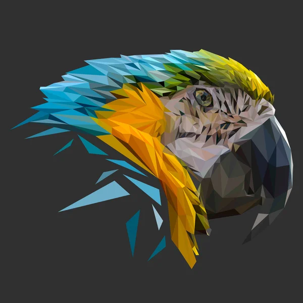Papoušek poly nízké konstrukce. — Stockový vektor