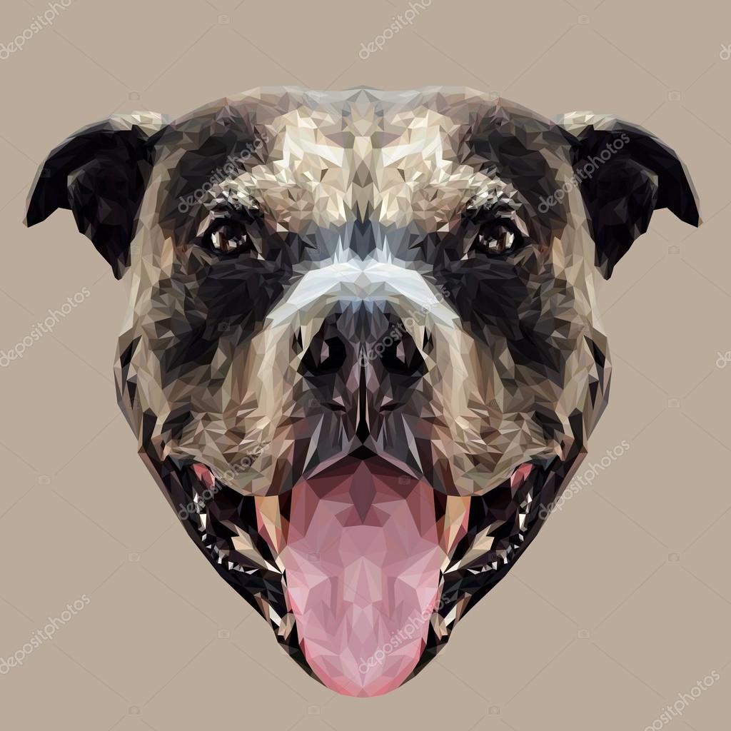 American Pit Bull Terrier dog animal low poly design. Triangle vector illustration.