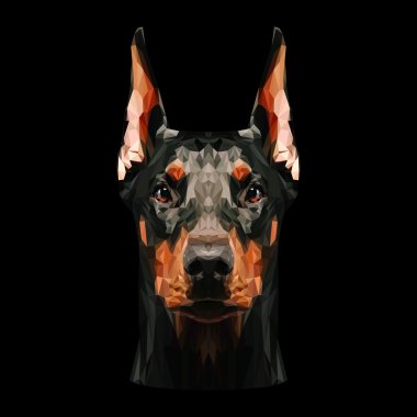 doberman pinscher köpek 