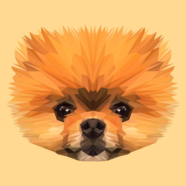 Boo perro Pomerania — Vector de stock