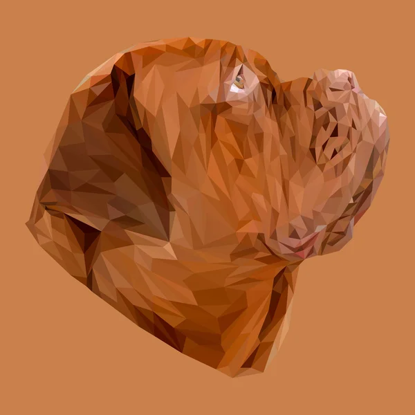 Dogue de bordeaux hond — Stockvector